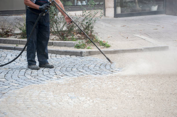 Best Sidewalk and Walkway Cleaning  in Dorneyville, PA