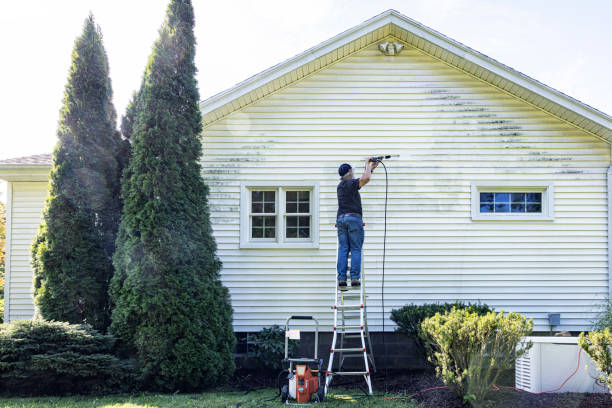 Best Roof Washing  in Dorneyville, PA